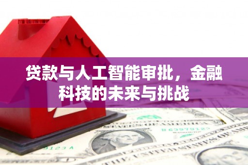 凉州贷款与人工智能审批，金融科技的未来与挑战