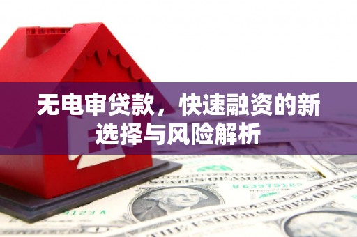 凉州无电审贷款，快速融资的新选择与风险解析