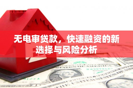 凉州无电审贷款，快速融资的新选择与风险分析