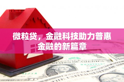 凉州微粒贷，金融科技助力普惠金融的新篇章