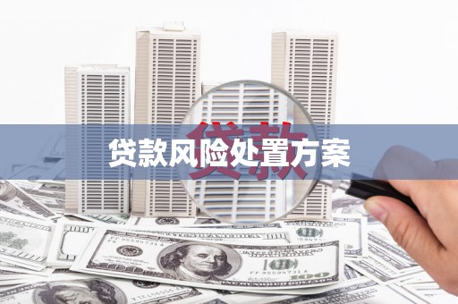 凉州贷款风险处置方案