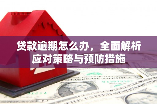 凉州贷款逾期怎么办，全面解析应对策略与预防措施