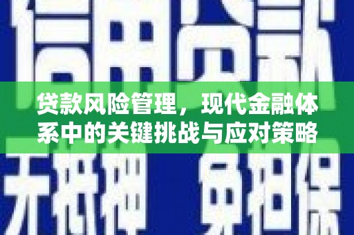 凉州贷款风险管理，现代金融体系中的关键挑战与应对策略
