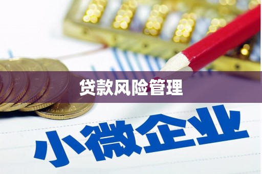 凉州贷款风险管理