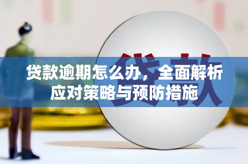 凉州贷款逾期怎么办，全面解析应对策略与预防措施