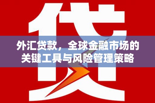 凉州外汇贷款，全球金融市场的关键工具与风险管理策略