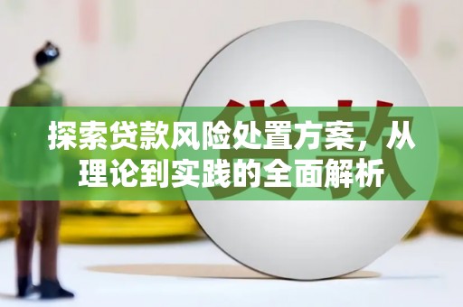 凉州探索贷款风险处置方案，从理论到实践的全面解析