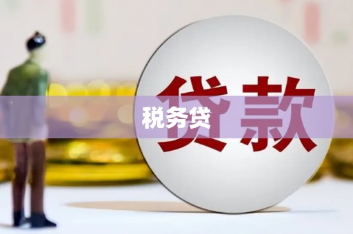 凉州税务贷