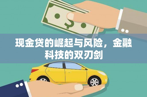凉州现金贷的崛起与风险，金融科技的双刃剑