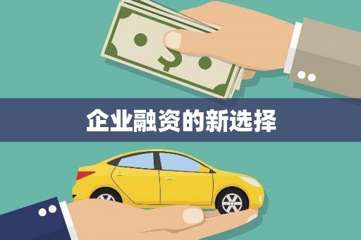 凉州企业融资的新选择