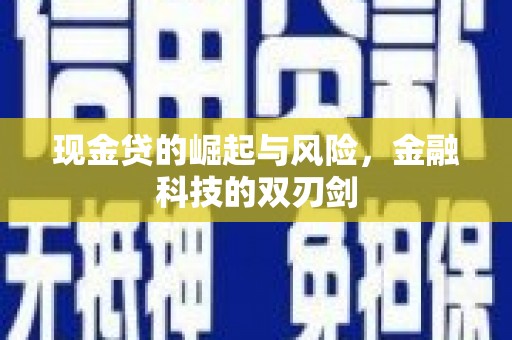 凉州现金贷的崛起与风险，金融科技的双刃剑