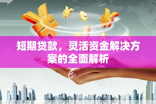 凉州短期贷款，灵活资金解决方案的全面解析