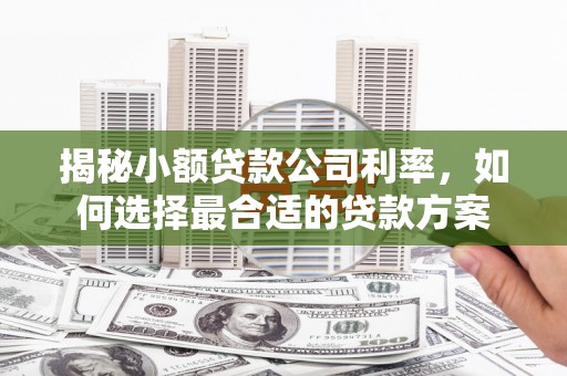 凉州揭秘小额贷款公司利率，如何选择最合适的贷款方案