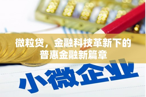 凉州微粒贷，金融科技革新下的普惠金融新篇章