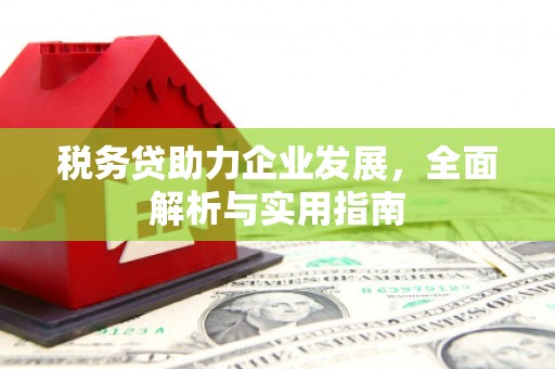 凉州税务贷助力企业发展，全面解析与实用指南
