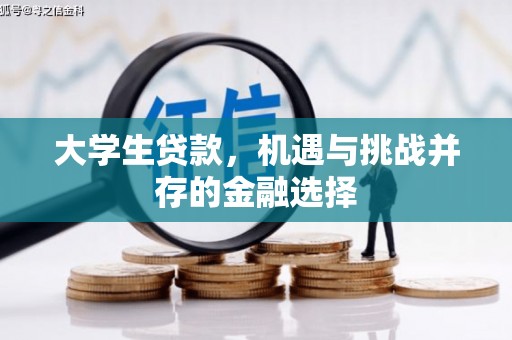 凉州大学生贷款，机遇与挑战并存的金融选择