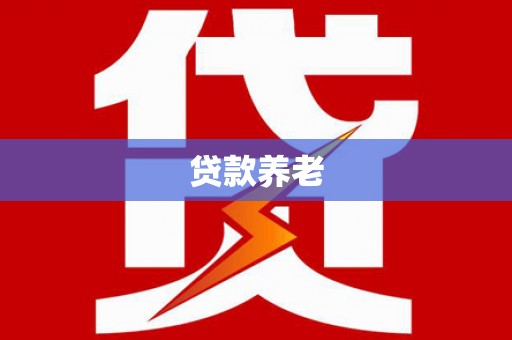 凉州贷款养老