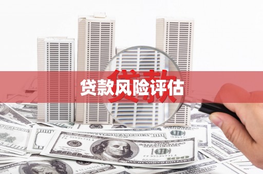 凉州贷款风险评估