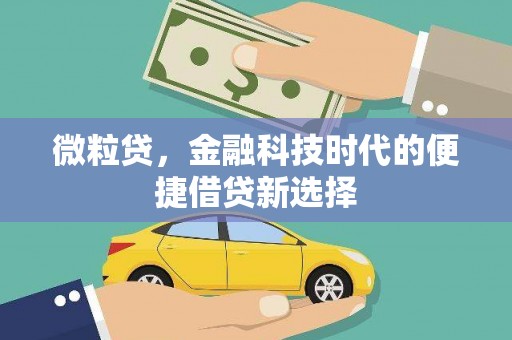 凉州微粒贷，金融科技时代的便捷借贷新选择