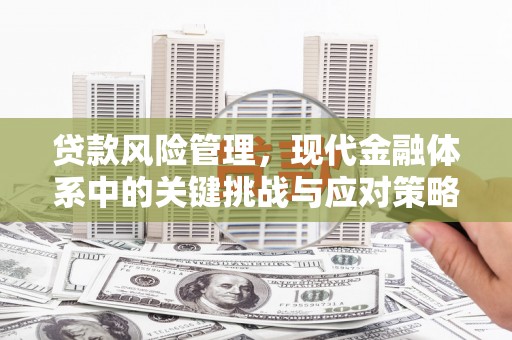 凉州贷款风险管理，现代金融体系中的关键挑战与应对策略