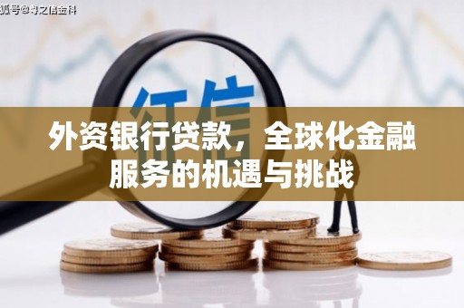 凉州外资银行贷款，全球化金融服务的机遇与挑战