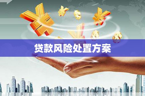 凉州贷款风险处置方案