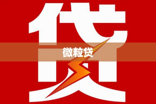 凉州微粒贷