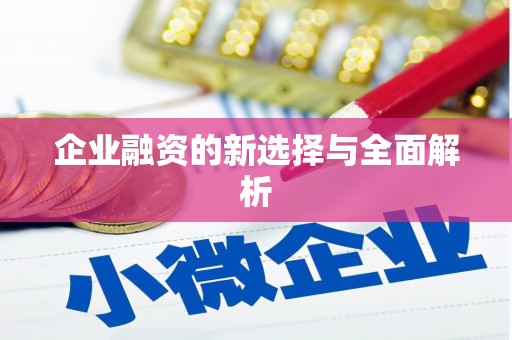 凉州企业融资的新选择与全面解析