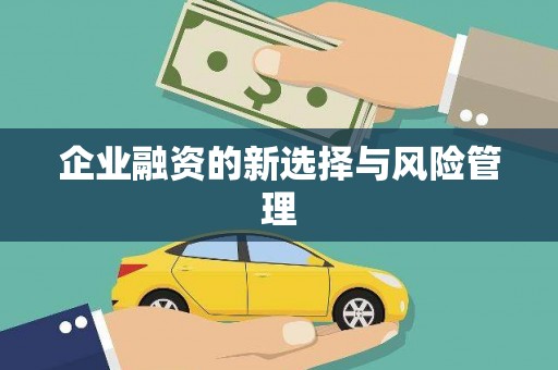 凉州企业融资的新选择与风险管理