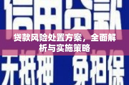 凉州贷款风险处置方案，全面解析与实施策略
