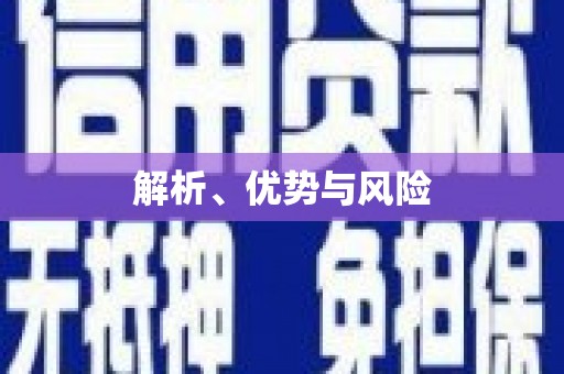 凉州解析、优势与风险