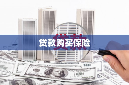 凉州贷款购买保险