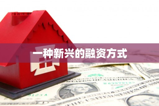 凉州一种新兴的融资方式